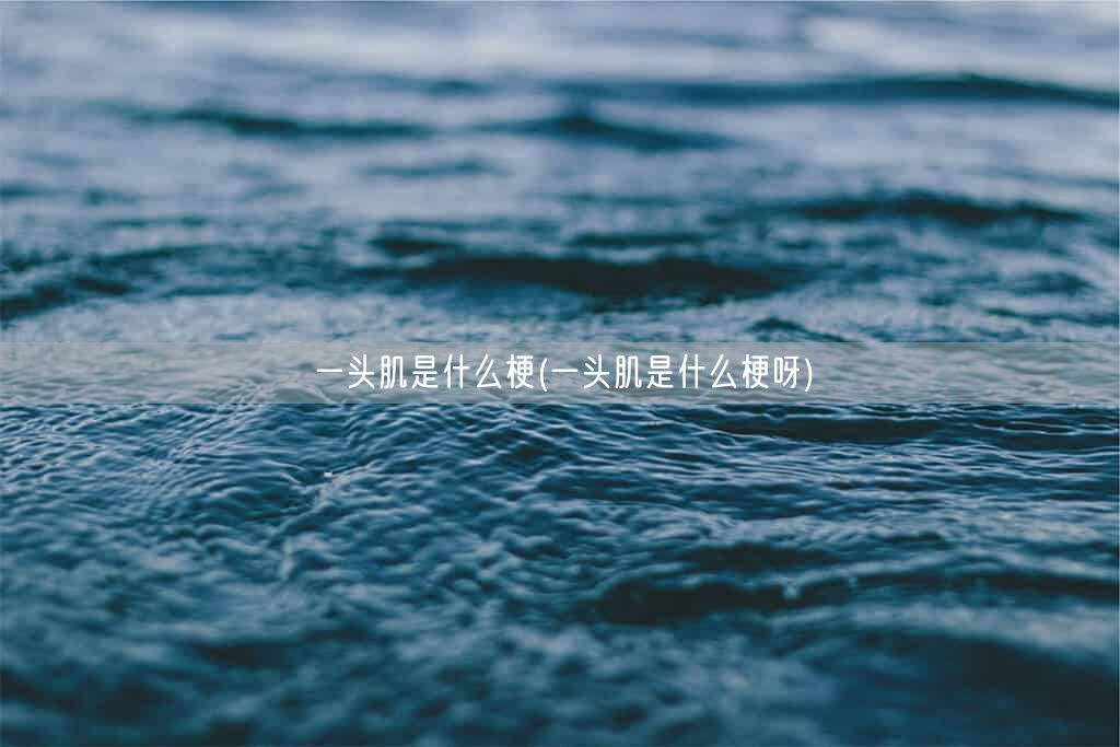 一头肌是什么梗(一头肌是什么梗呀)(图1) 一头肌是什么梗(一头肌是什么梗呀)(图1)