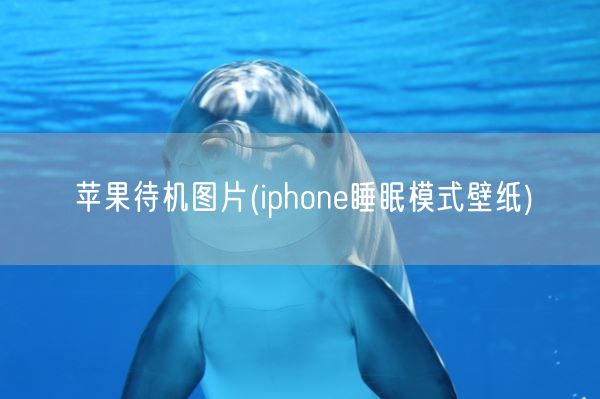 苹果待机图片(iphone睡眠模式壁纸)(图1) 苹果待机图片(iphone睡眠模式壁纸)(图1)