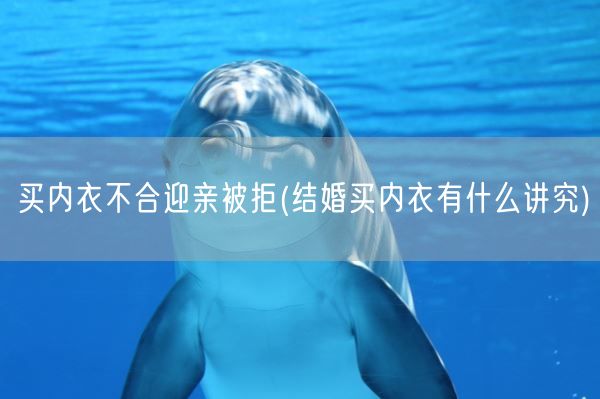 买内衣不合迎亲被拒(结婚买内衣有什么讲究)(图1) 买内衣不合迎亲被拒(结婚买内衣有什么讲究)(图1)
