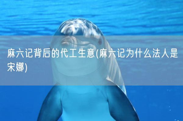 麻六记背后的代工生意(麻六记为什么法人是宋娜)(图1) 麻六记背后的代工生意(麻六记为什么法人是宋娜)(图1)