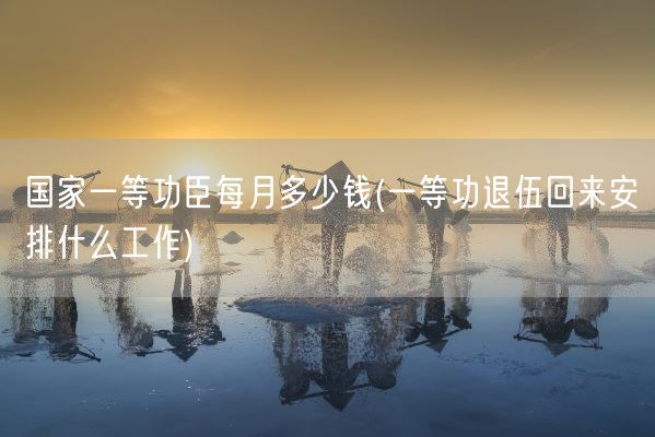 国家一等功臣每月多少钱(一等功退伍回来安排什么工作)(图1) 国家一等功臣每月多少钱(一等功退伍回来安排什么工作)(图1)
