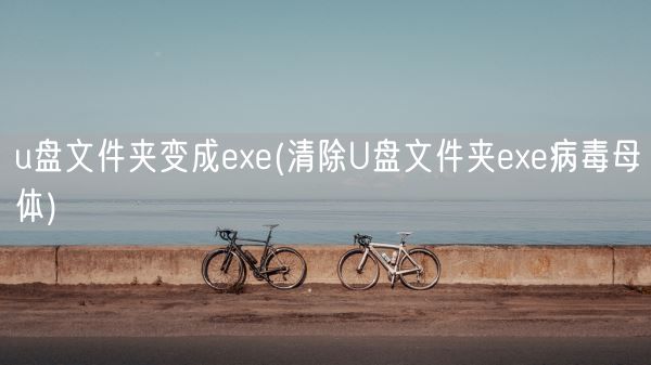 u盘文件夹变成exe(清除U盘文件夹exe病毒母体)(图1) u盘文件夹变成exe(清除U盘文件夹exe病毒母体)(图1)