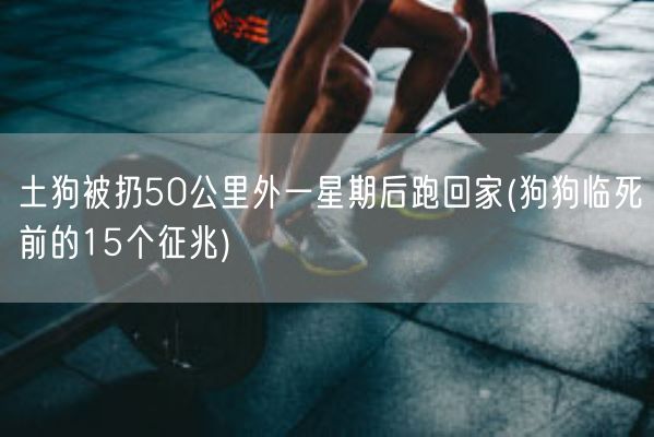 土狗被扔50公里外一星期后跑回家(狗狗临死前的15个征兆)(图1) 土狗被扔50公里外一星期后跑回家(狗狗临死前的15个征兆)(图1)