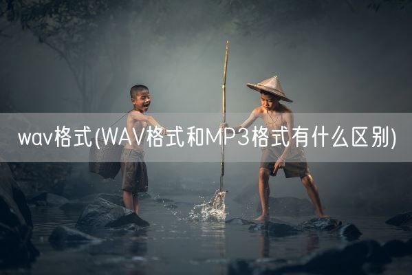 wav格式(WAV格式和MP3格式有什么区别)(图1) wav格式(WAV格式和MP3格式有什么区别)(图1)