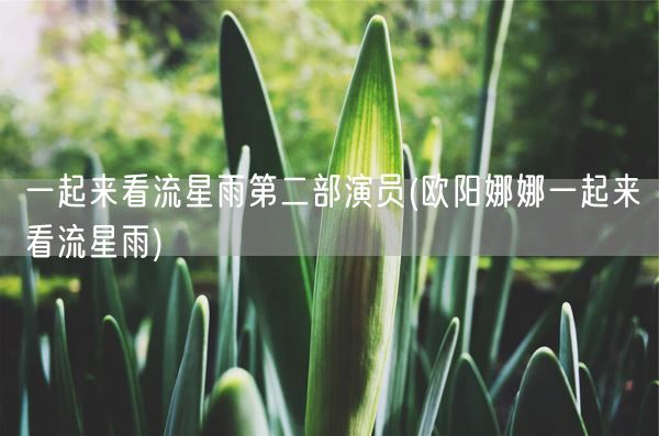 一起来看流星雨第二部演员(欧阳娜娜一起来看流星雨)(图1) 一起来看流星雨第二部演员(欧阳娜娜一起来看流星雨)(图1)