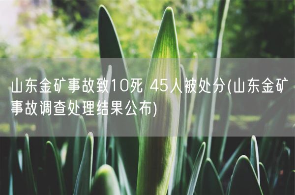 山东金矿事故致10死 45人被处分(山东金矿事故调查处理结果公布)(图1)