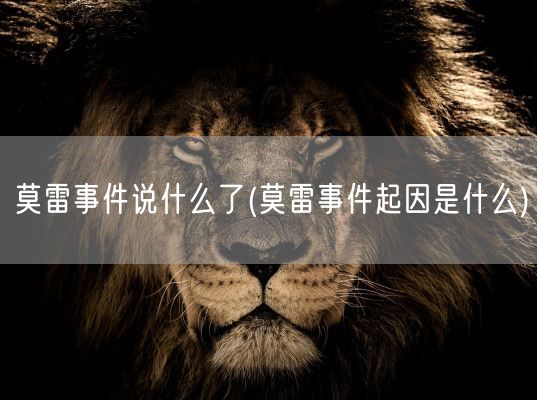 莫雷事件说什么了(莫雷事件起因是什么)(图1)