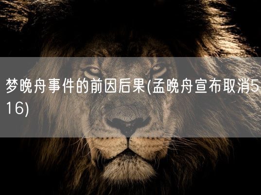 梦晚舟事件的前因后果(孟晚舟宣布取消516)(图1)