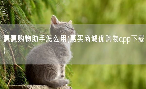 惠惠购物助手怎么用(惠买商城优购物app下载)(图1)