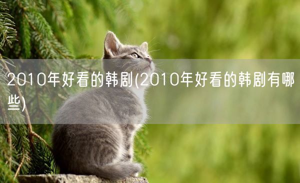 2010年好看的韩剧(2010年好看的韩剧有哪些)(图1) 2010年好看的韩剧(2010年好看的韩剧有哪些)(图1)