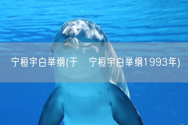 宁桓宇白举纲(于湉宁桓宇白举纲1993年)(图1) 宁桓宇白举纲(于湉宁桓宇白举纲1993年)(图1)