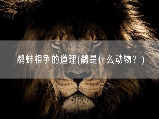 鹬蚌相争的道理(鹬是什么动物？)(图1)