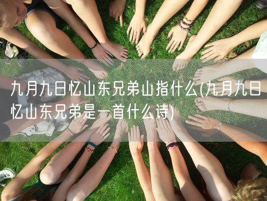 九月九日忆山东兄弟山指什么(九月九日忆山东兄弟是一首什么诗)(图1) 九月九日忆山东兄弟山指什么(九月九日忆山东兄弟是一首什么诗)(图1)