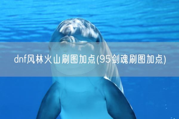 dnf风林火山刷图加点(95剑魂刷图加点)(图1)