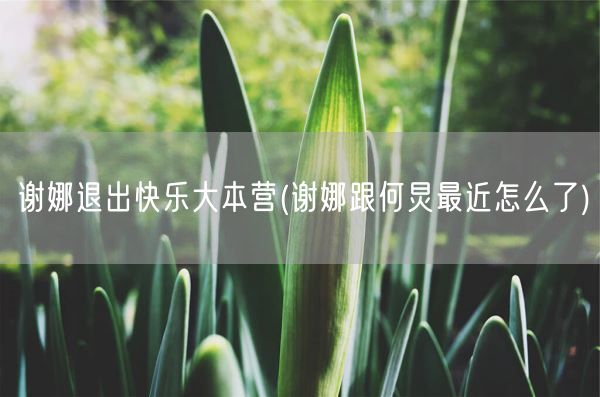 谢娜退出快乐大本营(谢娜跟何炅最近怎么了)(图1) 谢娜退出快乐大本营(谢娜跟何炅最近怎么了)(图1)