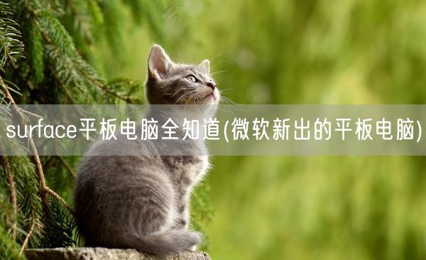 surface平板电脑全知道(微软新出的平板电脑)(图1) surface平板电脑全知道(微软新出的平板电脑)(图1)