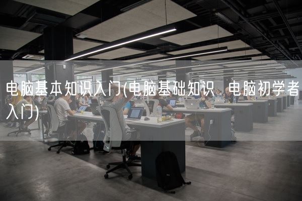电脑基本知识入门(电脑基础知识  电脑初学者入门)(图1)