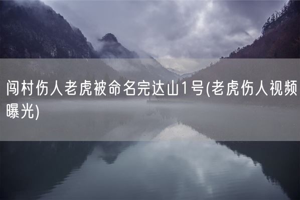 闯村伤人老虎被命名完达山1号(老虎伤人视频曝光)(图1) 闯村伤人老虎被命名完达山1号(老虎伤人视频曝光)(图1)