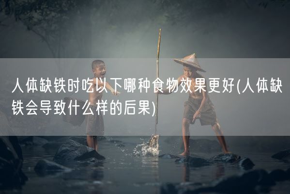 人体缺铁时吃以下哪种食物效果更好(人体缺铁会导致什么样的后果)(图1)