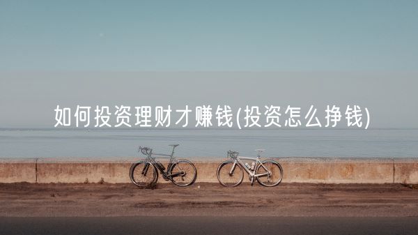 如何投资理财才赚钱(投资怎么挣钱)(图1)