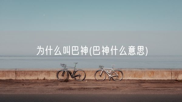 为什么叫巴神(巴神什么意思)(图1) 为什么叫巴神(巴神什么意思)(图1)
