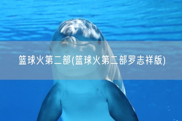 篮球火第二部(篮球火第二部罗志祥版)(图1)