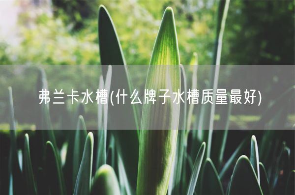弗兰卡水槽(什么牌子水槽质量最好)(图1) 弗兰卡水槽(什么牌子水槽质量最好)(图1)