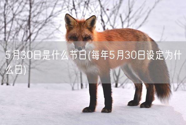5月30日是什么节日(每年5月30日设定为什么日)(图1)