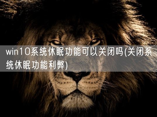win10系统休眠功能可以关闭吗(关闭系统休眠功能利弊)(图1) win10系统休眠功能可以关闭吗(关闭系统休眠功能利弊)(图1)