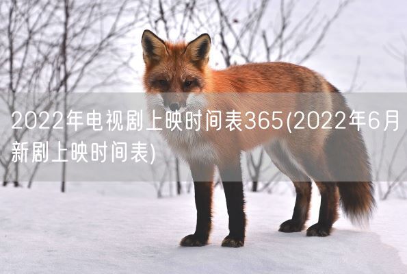 2022年电视剧上映时间表365(2022年6月新剧上映时间表)(图1) 2022年电视剧上映时间表365(2022年6月新剧上映时间表)(图1)