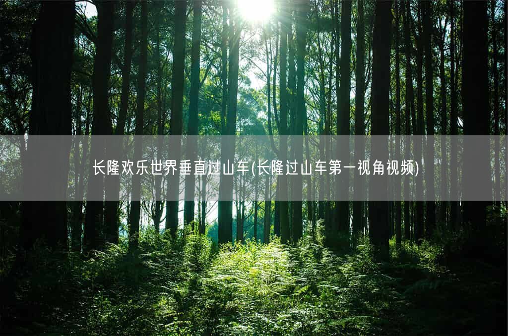 长隆欢乐世界垂直过山车(长隆过山车第一视角视频)(图1)