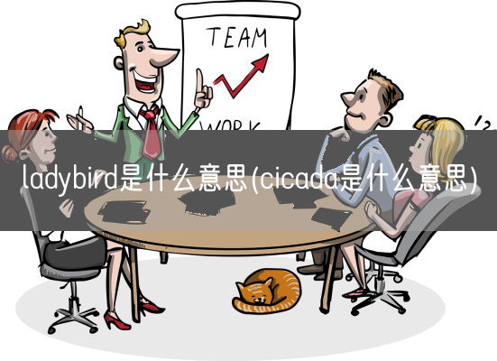 ladybird是什么意思(cicada是什么意思)(图1)