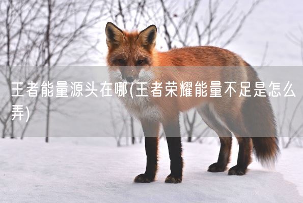 王者能量源头在哪(王者荣耀能量不足是怎么弄)(图1)