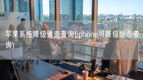 苹果系统降级通道查询(iphone可降级版本查询)(图1)