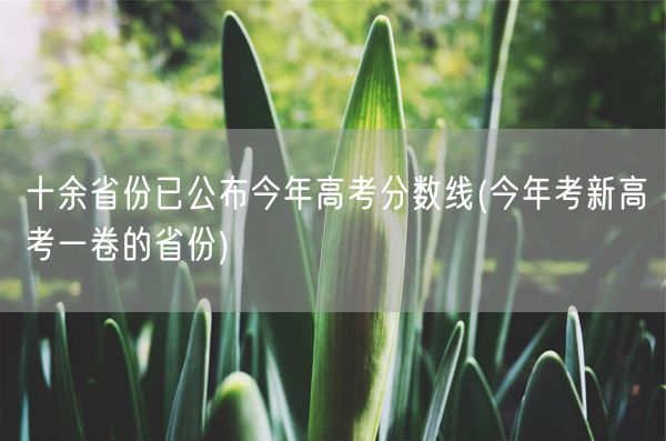 十余省份已公布今年高考分数线(今年考新高考一卷的省份)(图1)