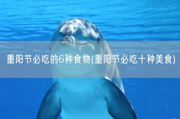重阳节必吃的6种食物(重阳节必吃十种美食)(图1) 重阳节必吃的6种食物(重阳节必吃十种美食)(图1)