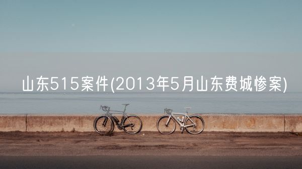 山东515案件(2013年5月山东费城惨案)(图1) 山东515案件(2013年5月山东费城惨案)(图1)
