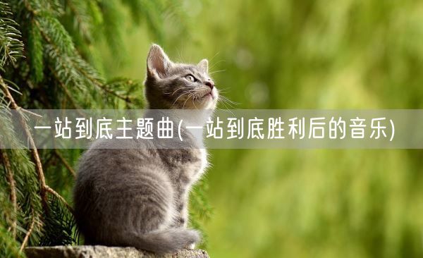 一站到底主题曲(一站到底胜利后的音乐)(图1)