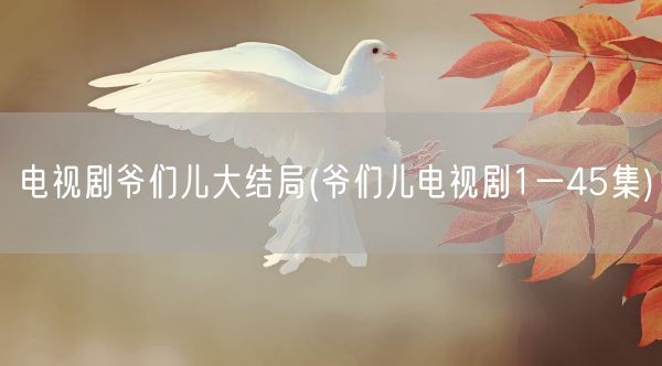 电视剧爷们儿大结局(爷们儿电视剧1一45集)(图1)