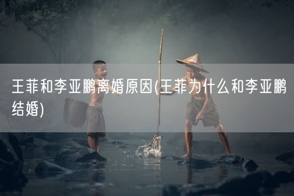 王菲和李亚鹏离婚原因(王菲为什么和李亚鹏结婚)(图1)