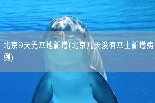 北京9天无本地新增(北京几天没有本土新增病例)(图1) 北京9天无本地新增(北京几天没有本土新增病例)(图1)