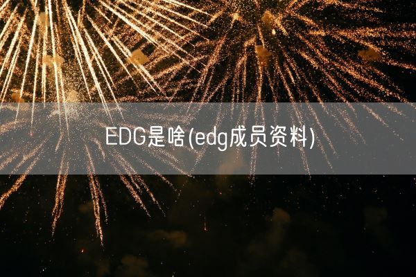 EDG是啥(edg成员资料)(图1)