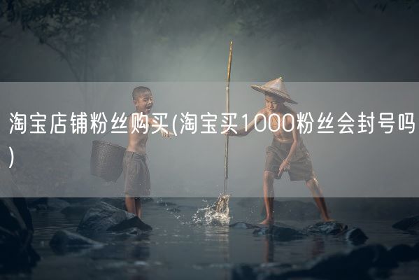 淘宝店铺粉丝购买(淘宝买1000粉丝会封号吗)(图1)