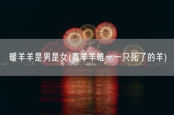 暖羊羊是男是女(喜羊羊唯一一只死了的羊)(图1)