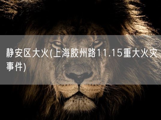 静安区大火(上海胶州路11.15重大火灾事件)(图1) 静安区大火(上海胶州路11.15重大火灾事件)(图1)