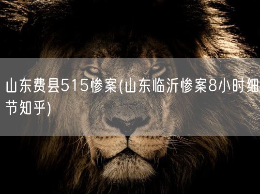 山东费县515惨案(山东临沂惨案8小时细节知乎)(图1) 山东费县515惨案(山东临沂惨案8小时细节知乎)(图1)