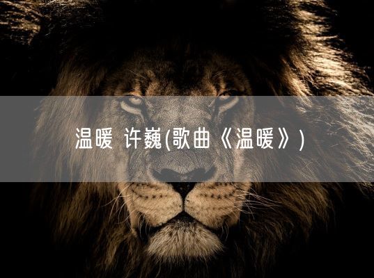 温暖 许巍(歌曲《温暖》)(图1)