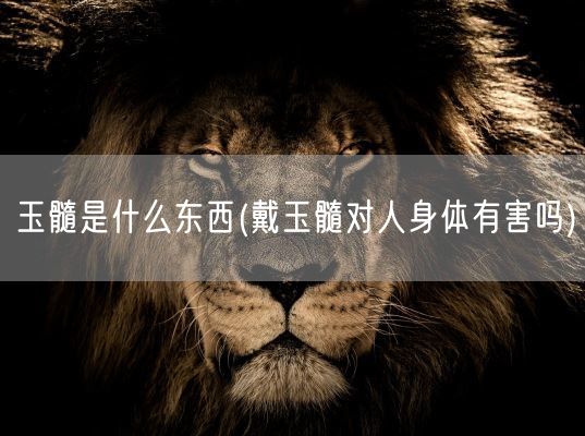 玉髓是什么东西(戴玉髓对人身体有害吗)(图1) 玉髓是什么东西(戴玉髓对人身体有害吗)(图1)