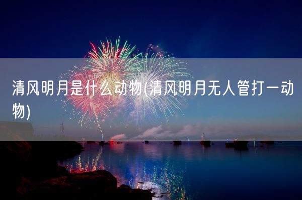 清风明月是什么动物(清风明月无人管打一动物)(图1)