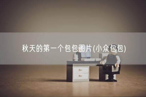 秋天的第一个包包图片(小众包包)(图1)